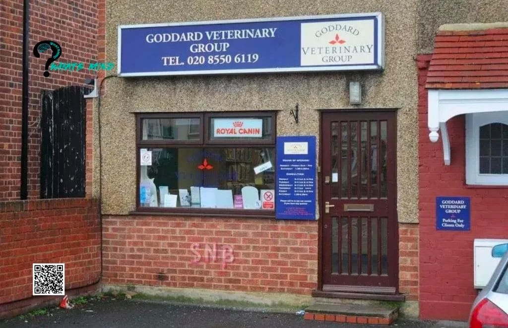 Discover TopNotch Pet Care at Goddard Veterinary Group Chalfont St