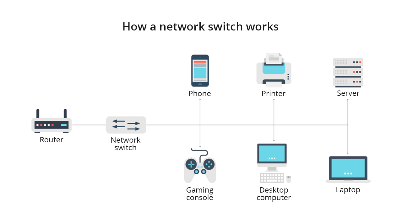 A Comprehensive Guide to Types and Functionality of Network Switches ...