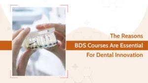 The Reasons BDS Courses Are Essential For Dental Innovation