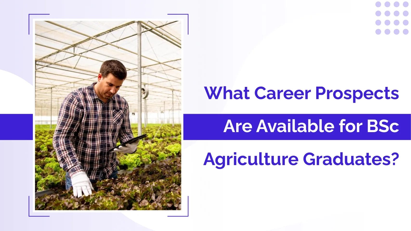 What Career Prospects Are Available for BSc Agriculture Graduates?