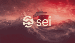Everything You Need to Know About the SEI Roadmap: A Simple Guide