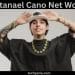 Natanael Cano Net Worth