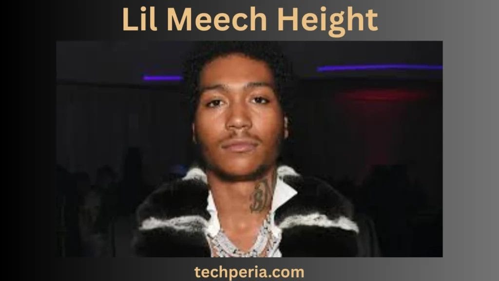 Lil Meech Biography