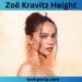 Zoë Kravitz Height